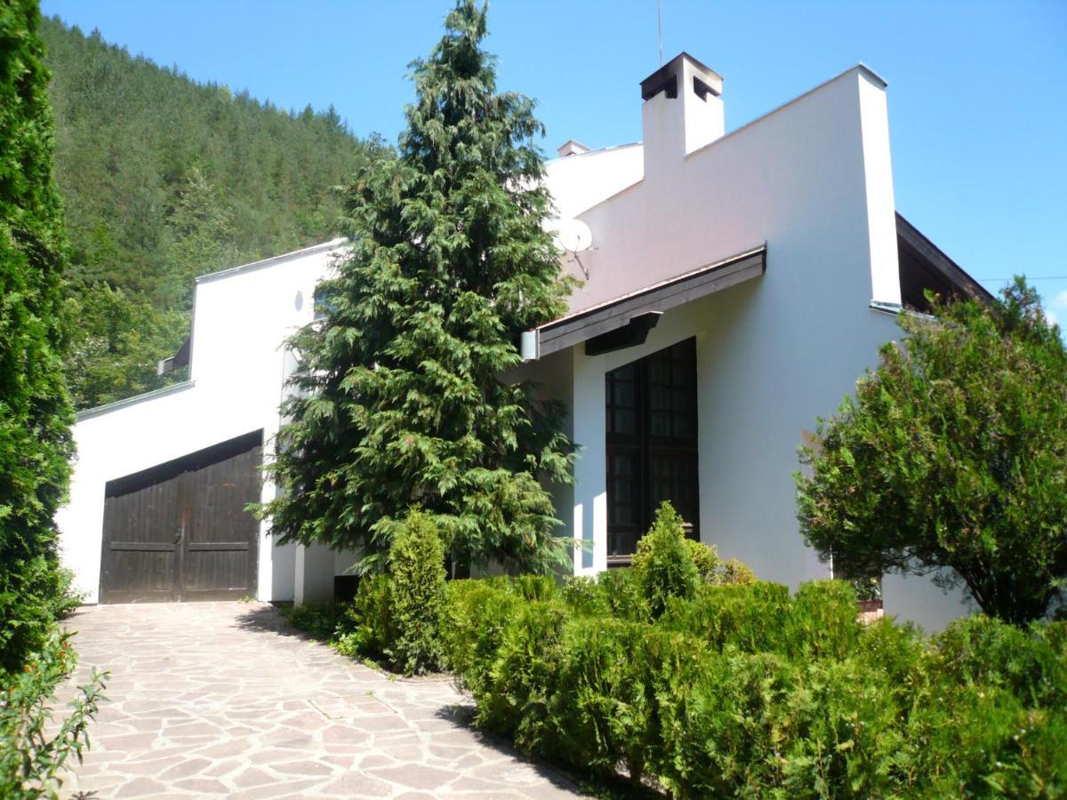 Мечтаната Селска Къща На Реката Със Семейство И Приятели! Ribarica Exterior photo