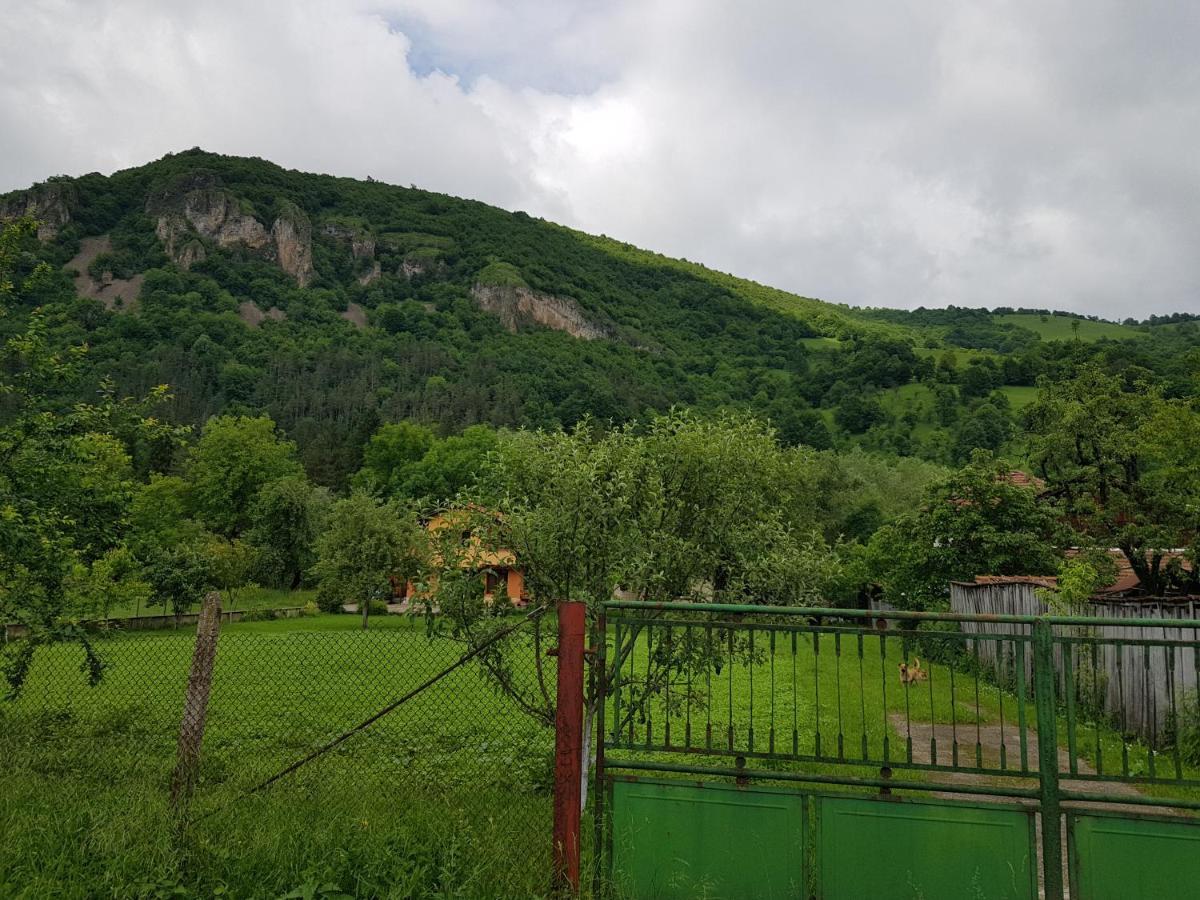 Мечтаната Селска Къща На Реката Със Семейство И Приятели! Ribarica Exterior photo